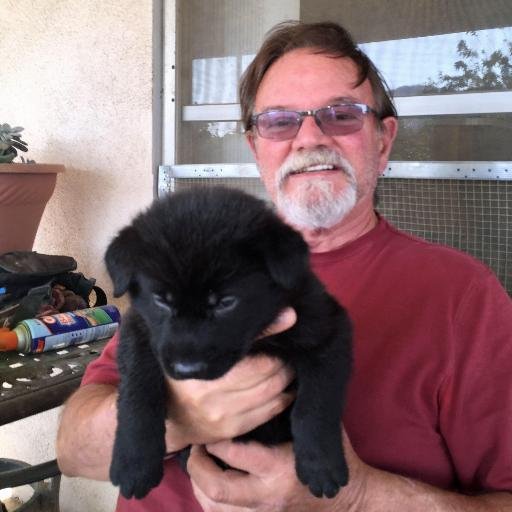 BOB TAYLOR is: The PRESIDENT & CEO OF DOG WISH INC., https://t.co/gaDIkplibM, I train Psychiatric Service Dogs for those with neurological disabilities