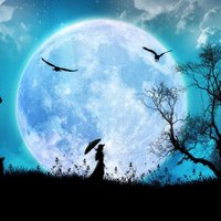 under vell :) (@undervell) Twitter profile photo