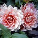 Nancy Matson - @nancymatson - Twitter