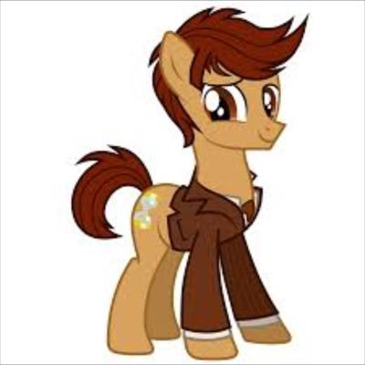 Hello I'm the doctor from the plant Gallifrey I'm a mad pony with a time machine from my own race and just trust me because I'm the doctor who save everypony