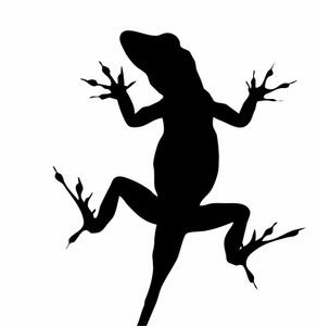 NguoiKinhDoanh's profile picture. Yêu Việt Nam! Giúp đỡ Doanh nhân Việt phát triển.