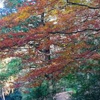 Dave Barton (@barty50) 's Twitter Profile