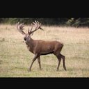 Calvin Bernard - @CalvinBernard2 - Twitter