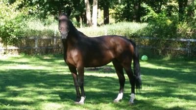 dawndeaton1's profile picture. Can I just get a do-over?