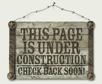 pcos_in's profile picture. 