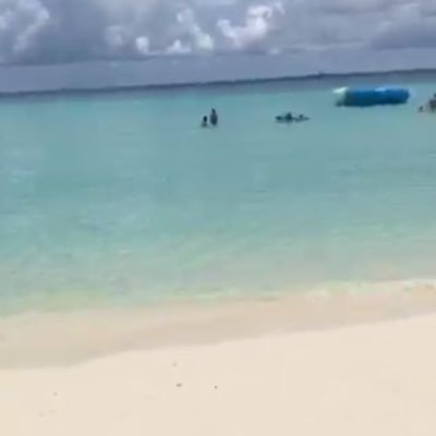 dragonffffly's profile picture. peace loving universal truth seeking dragonfly.