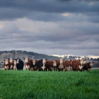Agripath (@agripath) 's Twitter Profile