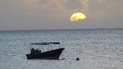 30aGregory's profile picture. soccer is life James Rodriguez rules