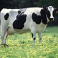 Richard Poindexter (@rp_f3udders) 's Twitter Profile Photo Richard Poindexter (@rp_f3udders) 's Twitter Profile Photo