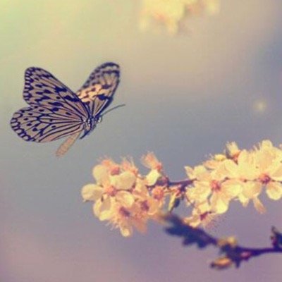 a7la5o5ah's profile picture. 