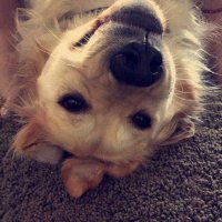 Laura Suchy (@laurasuchy) Twitter profile photo