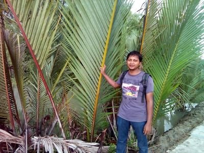 Fakirhat, Bagerhat