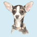 H.E.L.P. (@helpeverypet) Twitter profile photo H.E.L.P. (@helpeverypet) Twitter profile photo