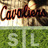 STLUVaBaseball's profile image