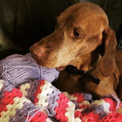 Lynsey Garrick Profile