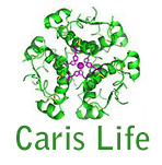Caris Life Services
