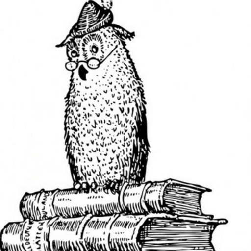 owltk_'s profile picture. 