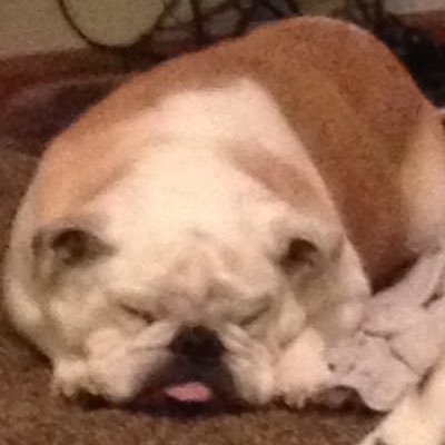 girlegirl09's profile picture. 