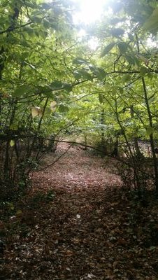 raquelcastan's profile picture. 