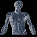 Evan Brewster - @TheOtherEvan - Twitter