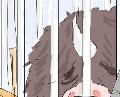 DLさんのプロフィール画像