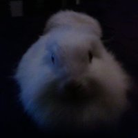 KARMA (@franbets) 's Twitter Profile