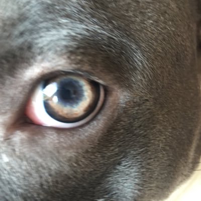 AudryImpen's profile picture. just à dreamteam