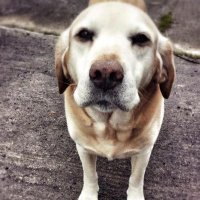 Mull (@ronanm84) 's Twitter Profile Photo Mull (@ronanm84) 's Twitter Profile Photo