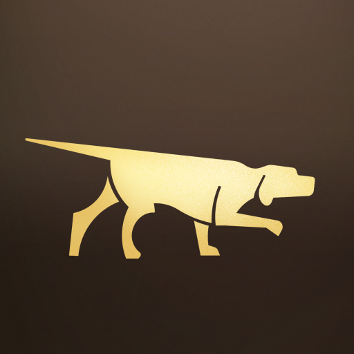 scenehound's profile picture. Changing the way the world plans the night out.  Available in New Orleans, Columbus, &Austin on iOS & Android! Download Now ⬇️⬇️⬇️