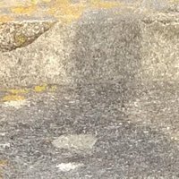 Paul Harland (@pabloredux) 's Twitter Profile