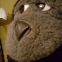 matty (@mattuk35) 's Twitter Profile