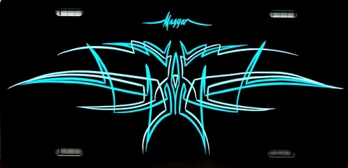 Custom Free hand Pin Stripe Graphic Artist