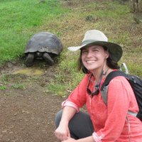 Shawn Lowe (@lowephysics) 's Twitter Profile