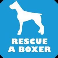 RESCUE A BOXER(@rescueaboxer) 's Twitter Profile Photo