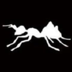 mclewis46y2's profile picture. 