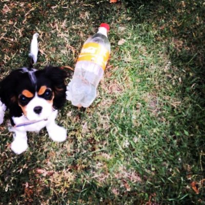 Emily_ismyname's profile picture. Hi my name is Emily. I watch a lot of YouTube it's not even healthy