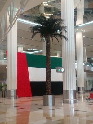 d6a60a929f4b4b4's profile picture. 