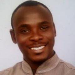 Internet/Digital Marketing Consultant/ Entrepreneur,  Digital Information purveyor, Business Development Practitioner and Fish lover.