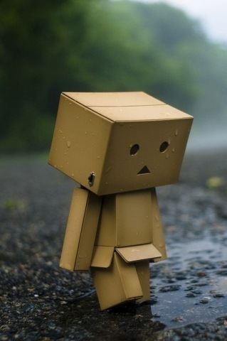 contestinfo's profile picture. follow us to get the lastest news about contest to win an iPad