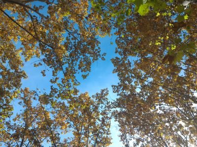 _Christophe____'s profile picture. 