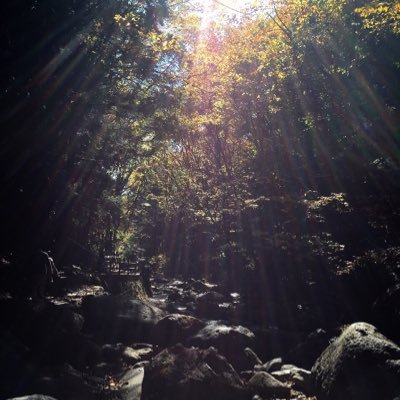 pwetmjjdgnt's profile picture. スパムじゃないよゾンビでもないよ/えっちなツイートや配信者・漫画家・声優のツイートいいね＆RTが身内に見られるの恥ずかしくてブロ解しまくってたらこんな成れの果ての姿してたよ