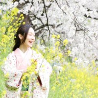 Yuko　Kinoshita (@pokopokobokko) Twitter profile photo