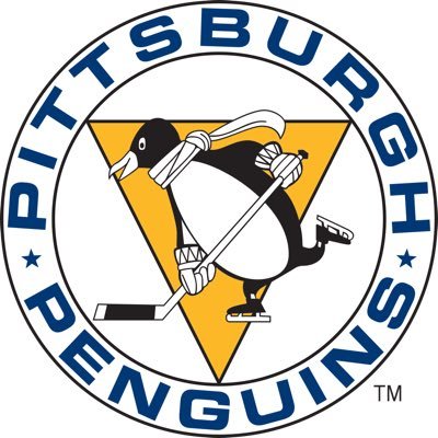 Official Twitter of the 6v6 VGNHL Pittsburgh Penguins. You can join us live on Twitch @ https://t.co/gKmNuld3ga or watch full games https://t.co/DU3eG0v9as