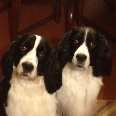 Diego_Vega69's profile picture. 