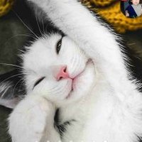 MYhiddenFEELINGS (@thisfeeling) 's Twitter Profile