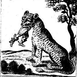 Ellen MacKay Profile