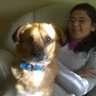 gime_avila's profile picture. ux/ui designer