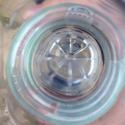 PVZGW2INFO's profile picture. Old profile was @SorgenfriOliver