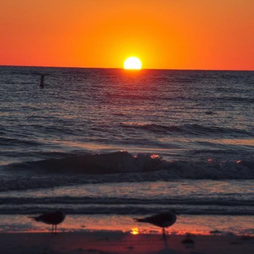 Wonderful and charming vacation rentals by the Lido Beach in Sarasota, Florida.

https://t.co/cxyqGdzH