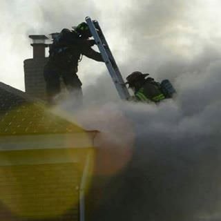 bvfcff136's profile picture. 